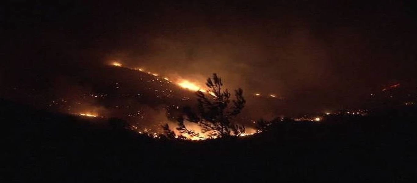 «Μάχη» με τις φλόγες σε Αυλώνα, Χανιά και Ηλεία